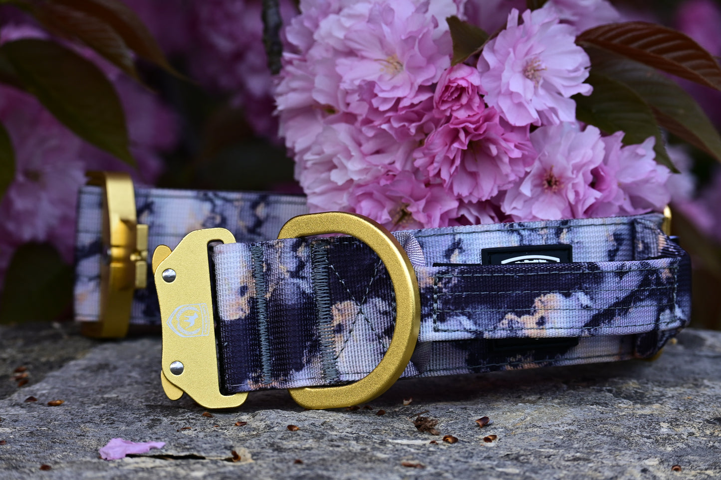 Combat Collar I Marmor Gold ⚜️