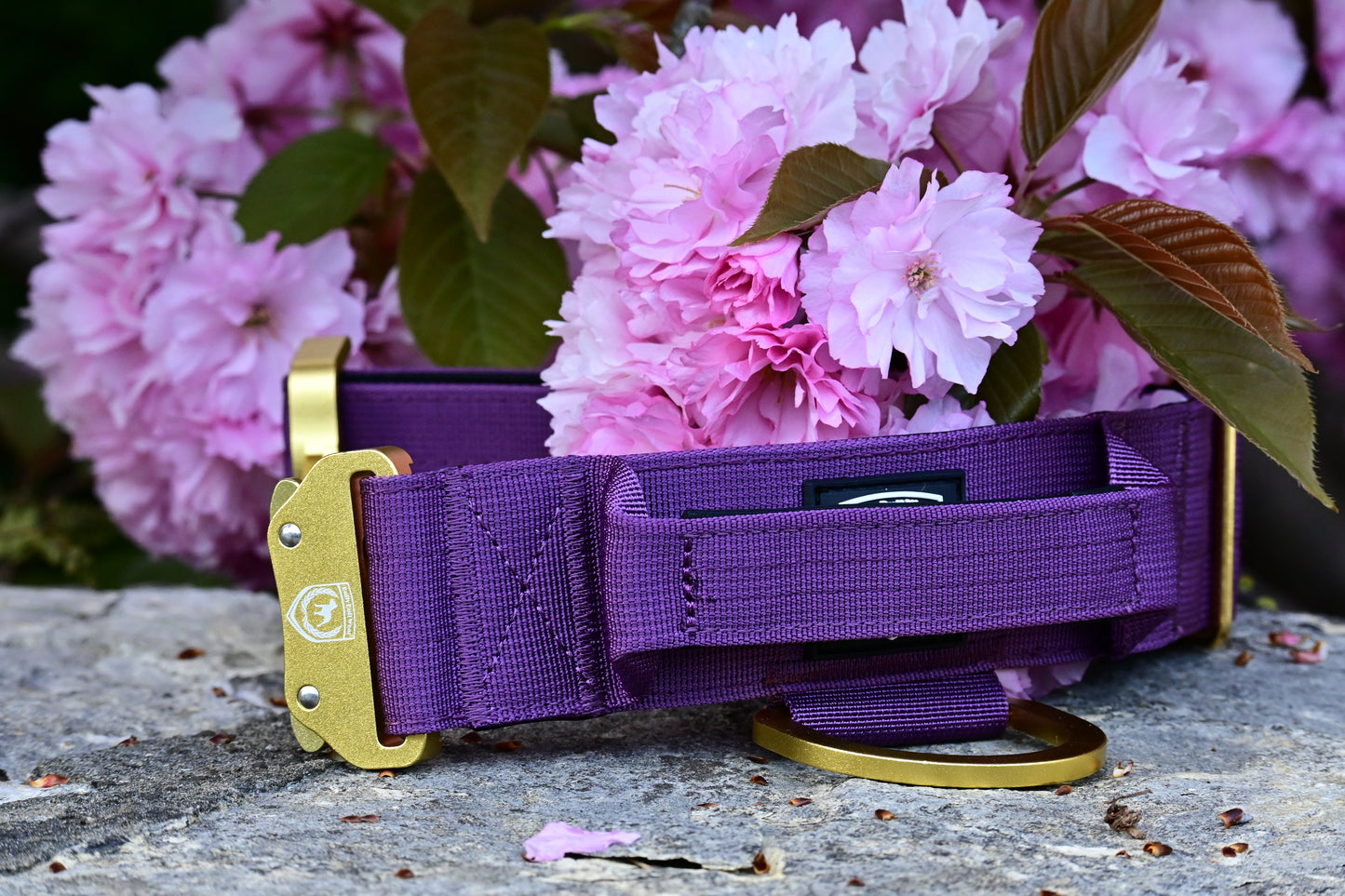 Combat Collar | plum-gold⚜️ Bedruckt
