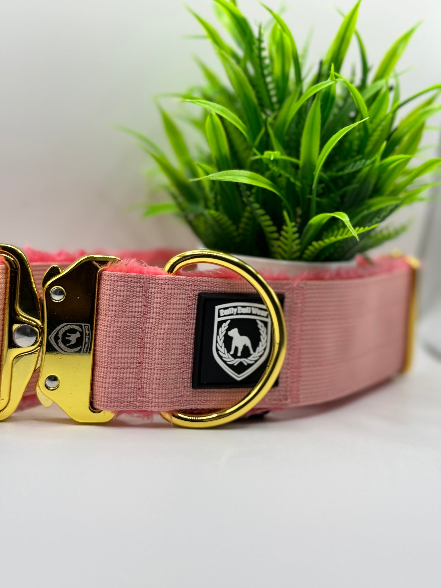 Hakuna Matata Collar – Limited Edition