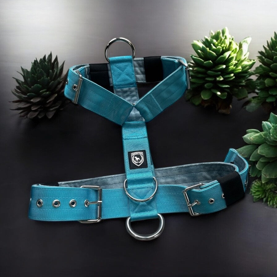 Basic Brustgeschirr I carribbeanblue samt