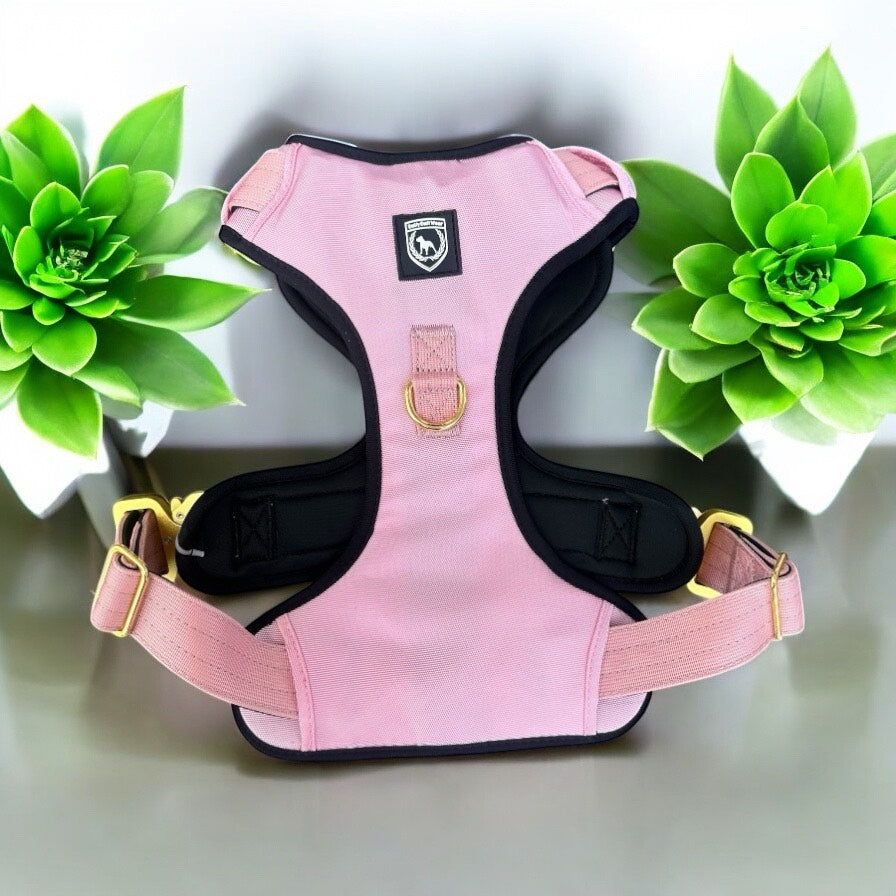 Combat Extrem Brustgeschirr I dustyrosé