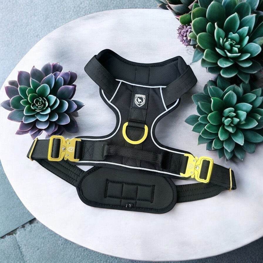 Combat Extreme Brustgeschirr I black gold