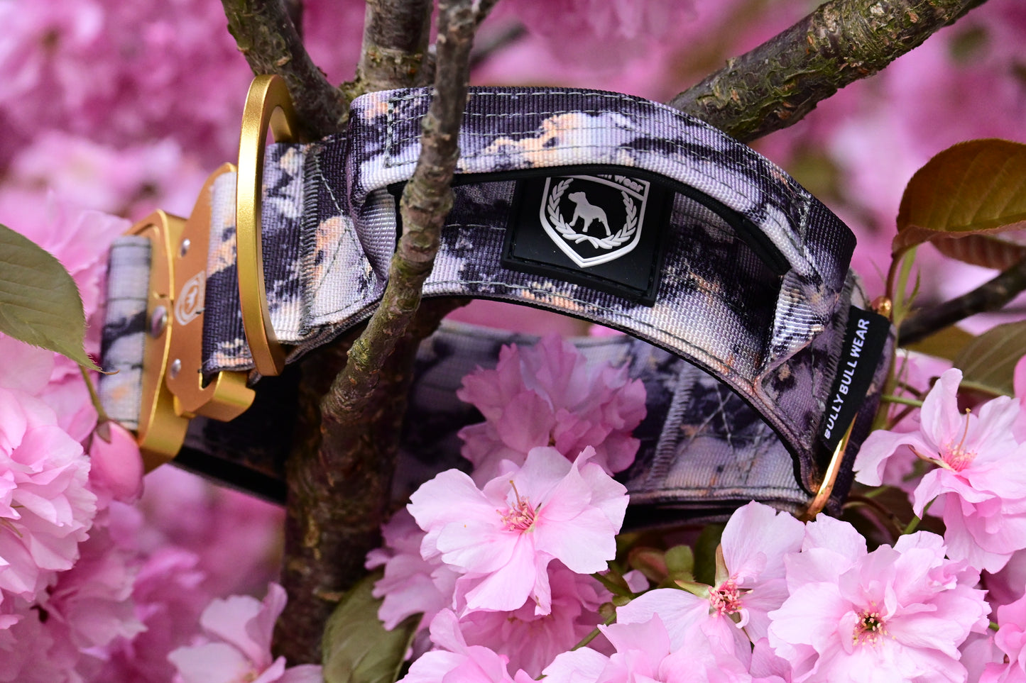 Combat Collar I Marmor Gold ⚜️