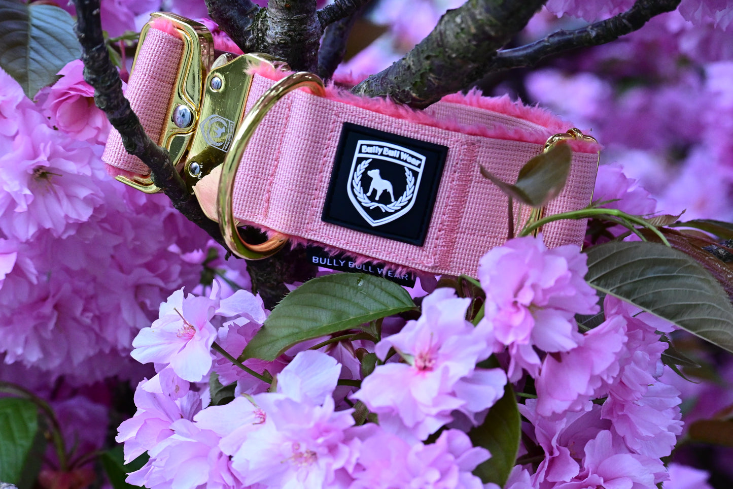 Hakuna Matata Collar – Limited Edition