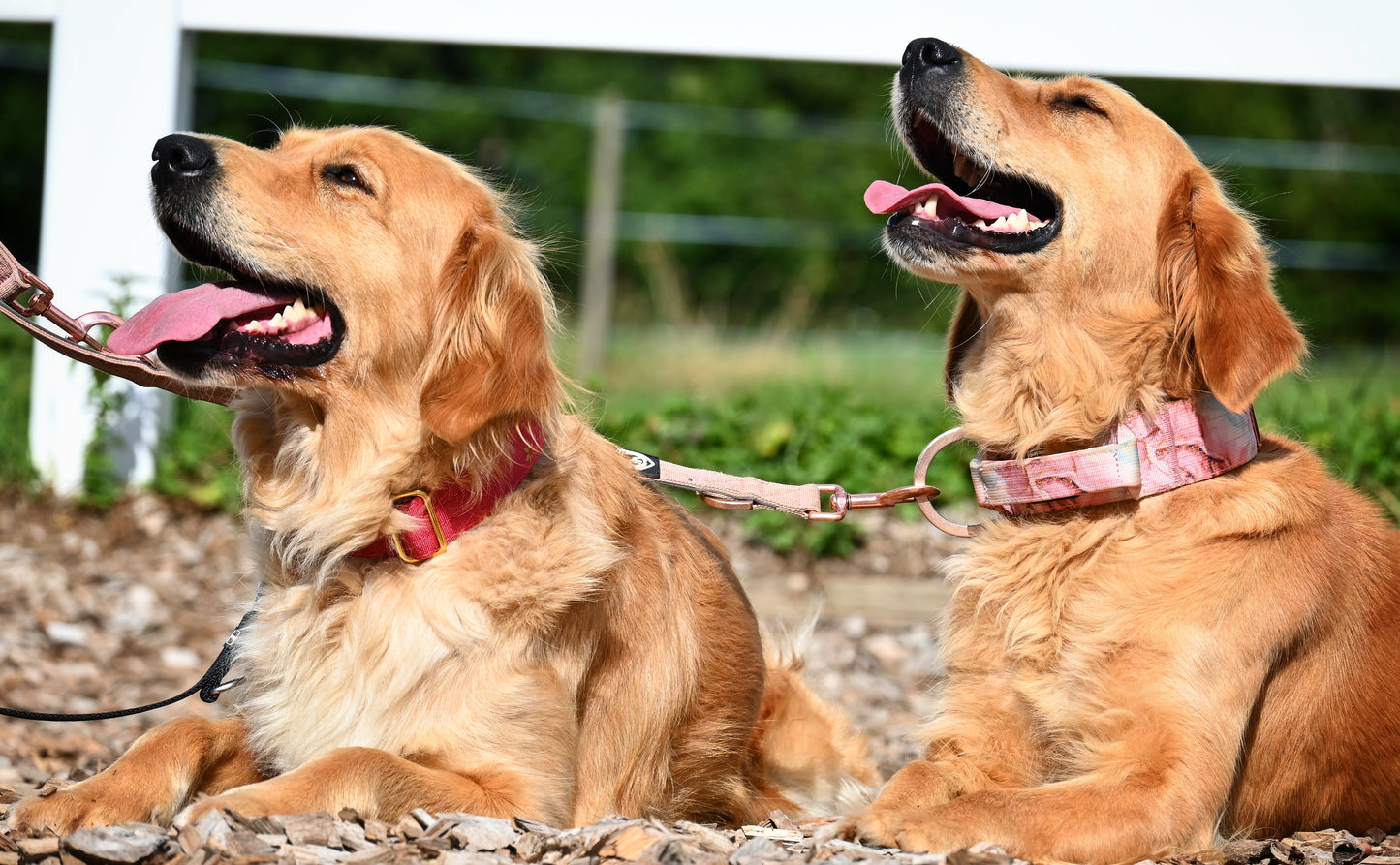 Combat Collar I marble rose