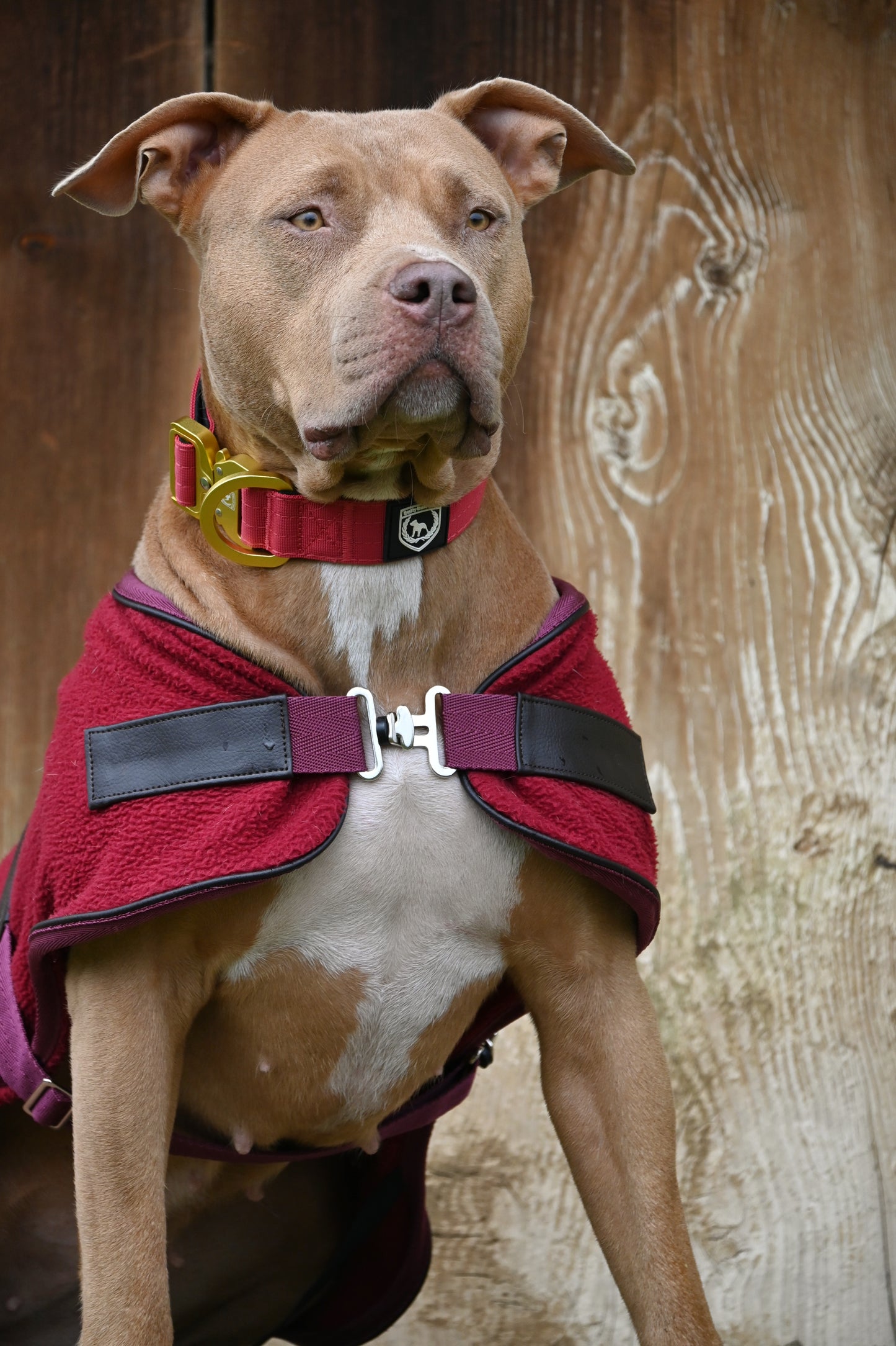 Flauschige Fleecedecke