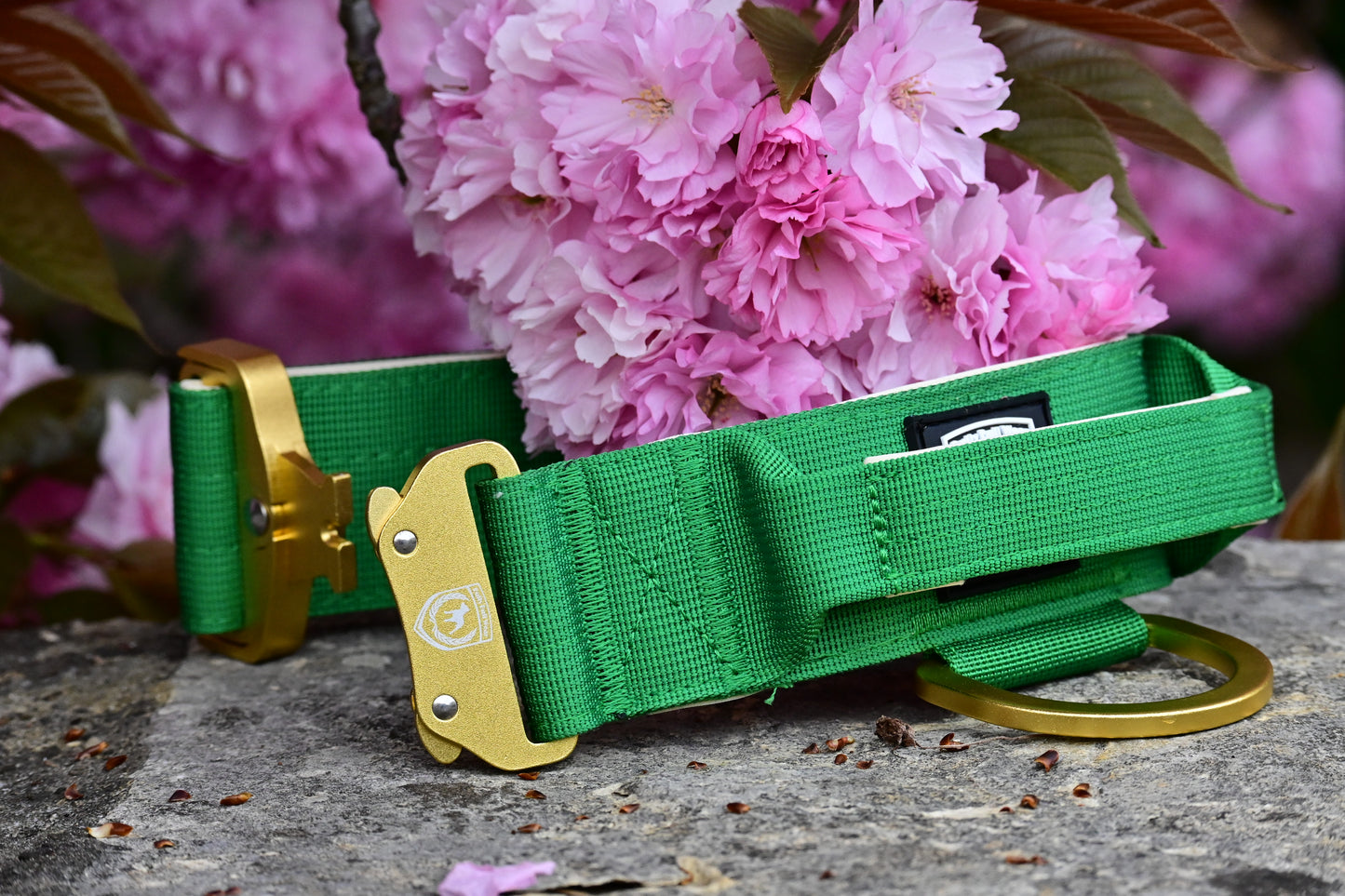 Combat Collar | mossy bliss