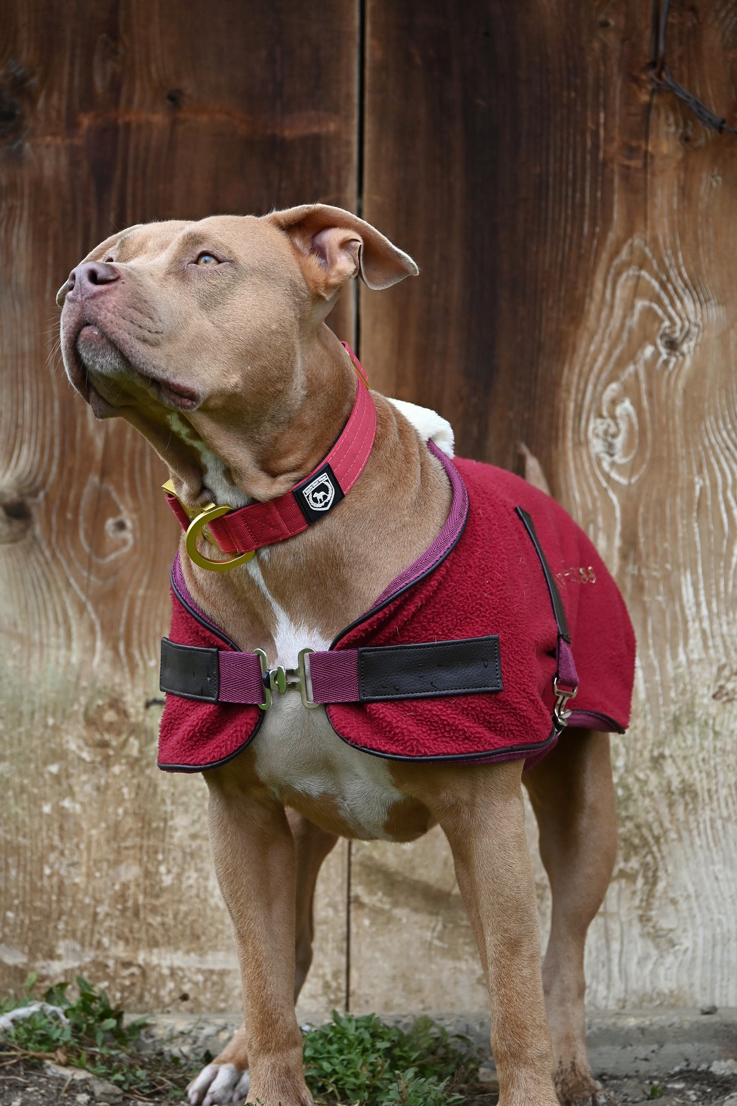 Flauschige Fleecedecke