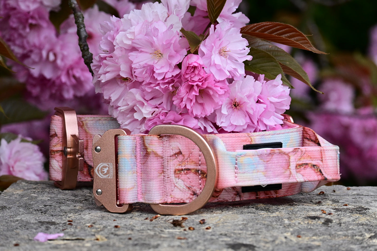 Combat Collar I marble rose