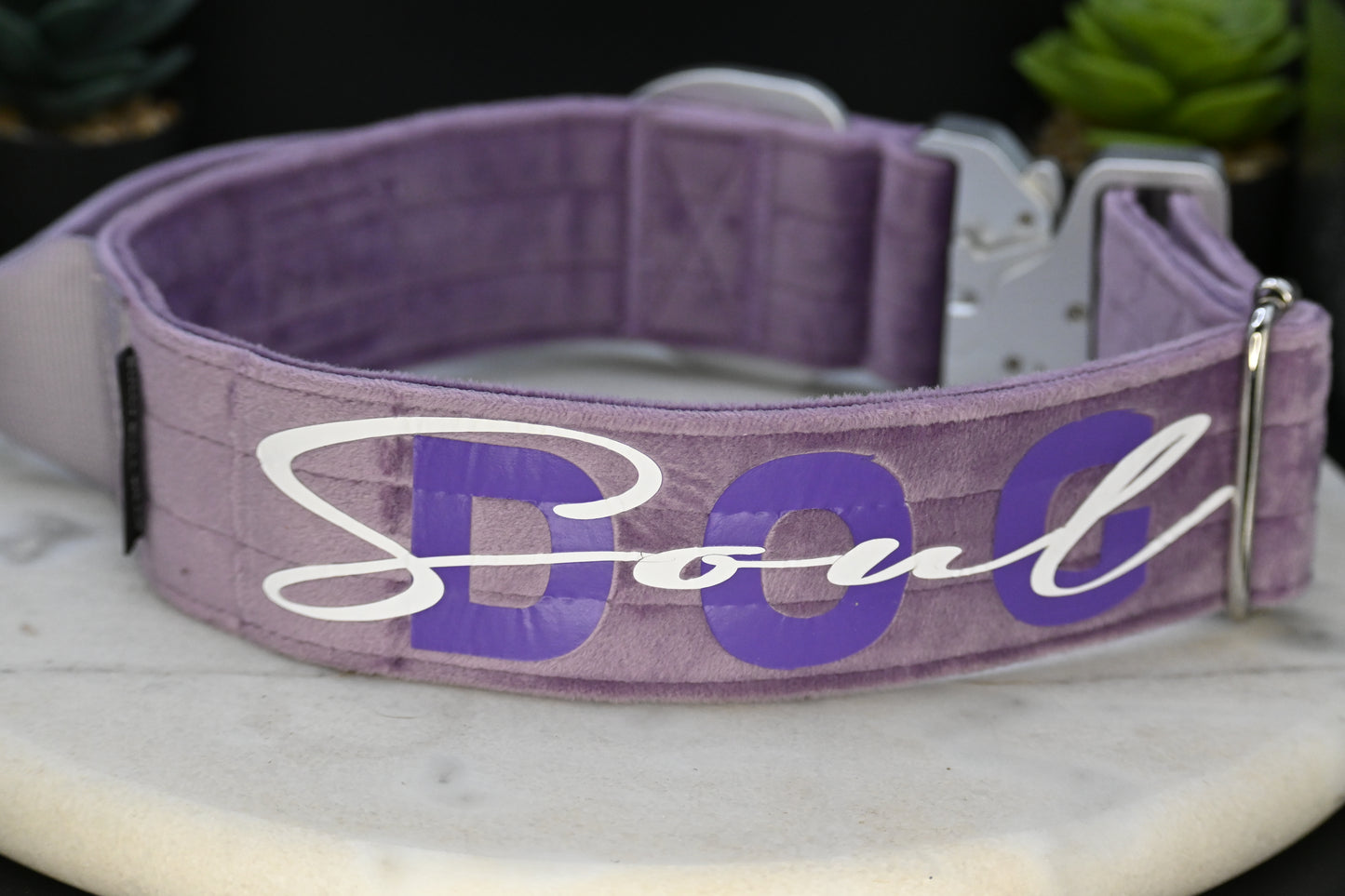 Combat Collar samt | souldog