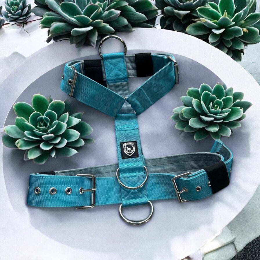 Basic Brustgeschirr I carribbeanblue samt