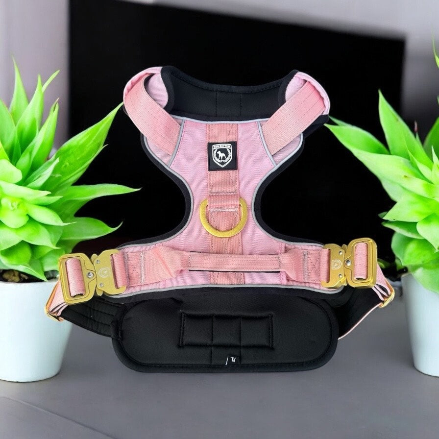 Combat Extrem Brustgeschirr I dustyrosé