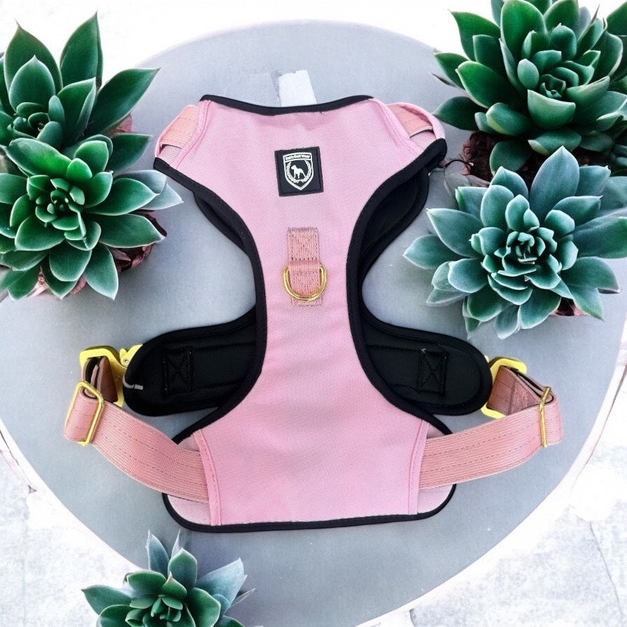 Combat Extrem Brustgeschirr I dustyrosé