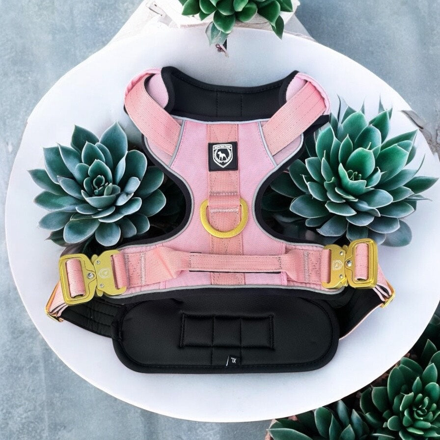 Combat Extrem Brustgeschirr I dustyrosé